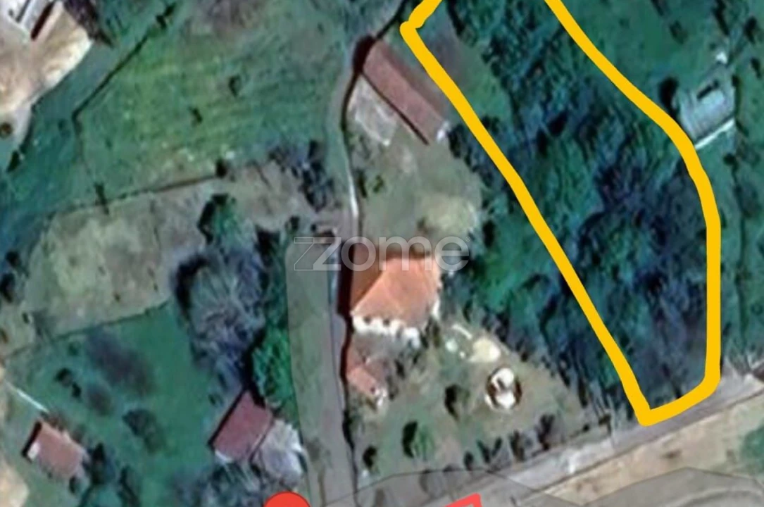 Terreno para Venda em Vilar de Besteiros e Mosteiro de Fráguas Foto 54