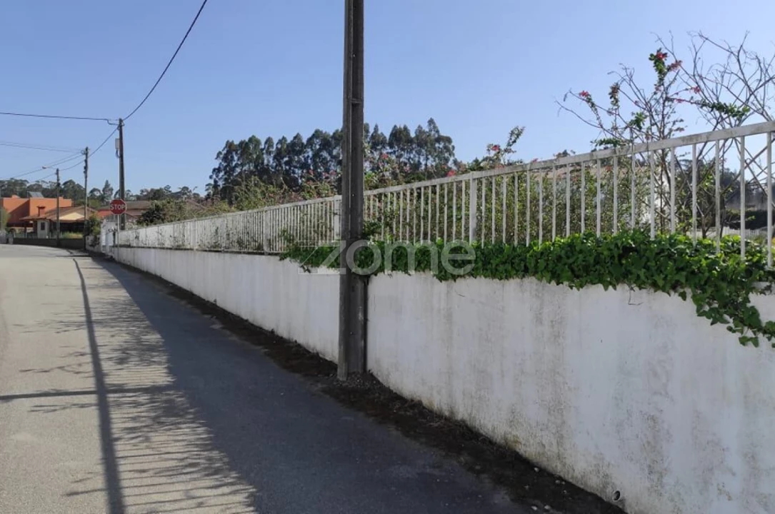 Terreno para Venda em Avanca Foto 1