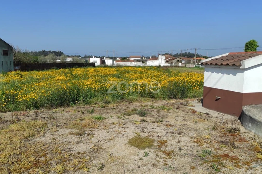 Terreno para Venda em Avanca Foto 5