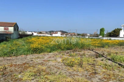 Terreno para Venda em Avanca
