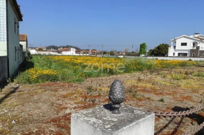 Terreno para Venda em Avanca