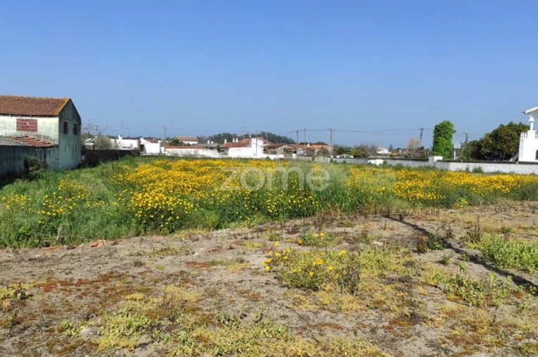 Terreno para Venda em Avanca Foto 3