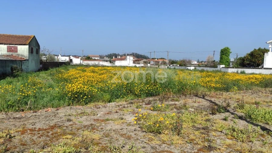 Terreno para Venda em Avanca