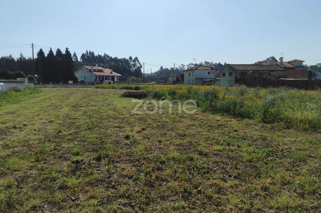 Terreno para Venda em Avanca Foto 3