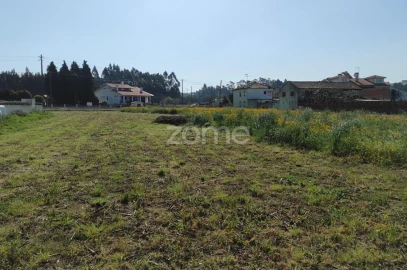 Terreno para Venda em Avanca
