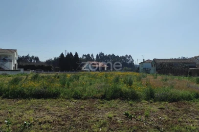 Terreno para Venda em Avanca