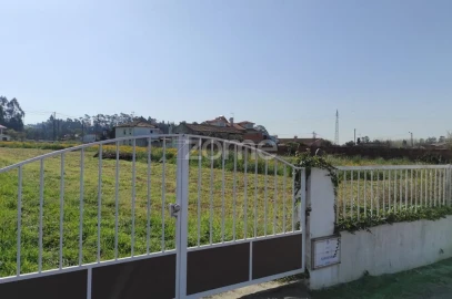 Terreno para Venda em Avanca