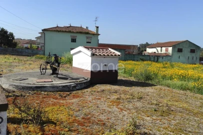 Terreno para Venda em Avanca