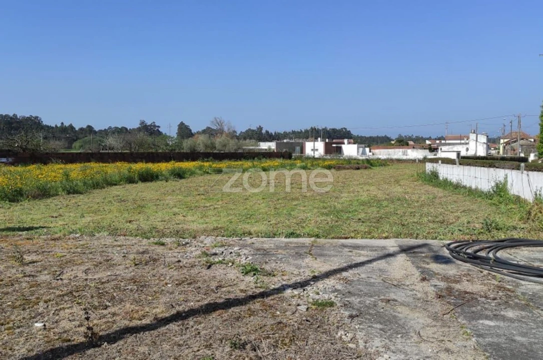 Terreno para Venda em Avanca Foto 1