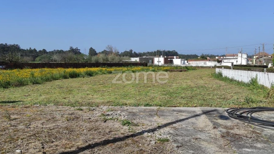 Terreno para Venda em Avanca