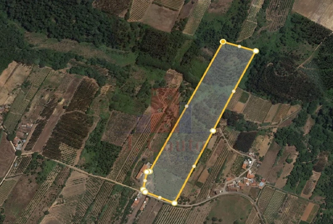Terreno para Venda em Carvalhal Foto 8