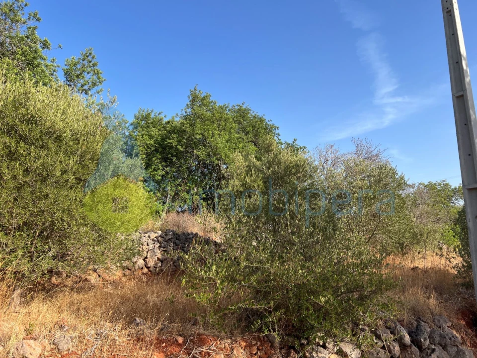 Moradia T2 para Venda em São Bartolomeu de Messines Foto 24