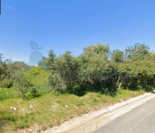 Terreno Agricola ou Rústico para Venda em Ferreiras