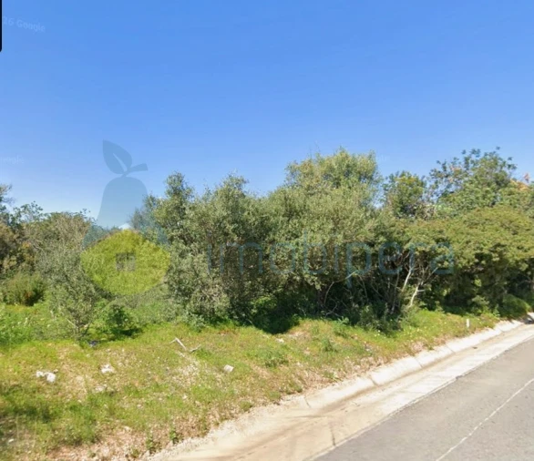 Terreno Agricola ou Rústico para Venda em Ferreiras Foto 2