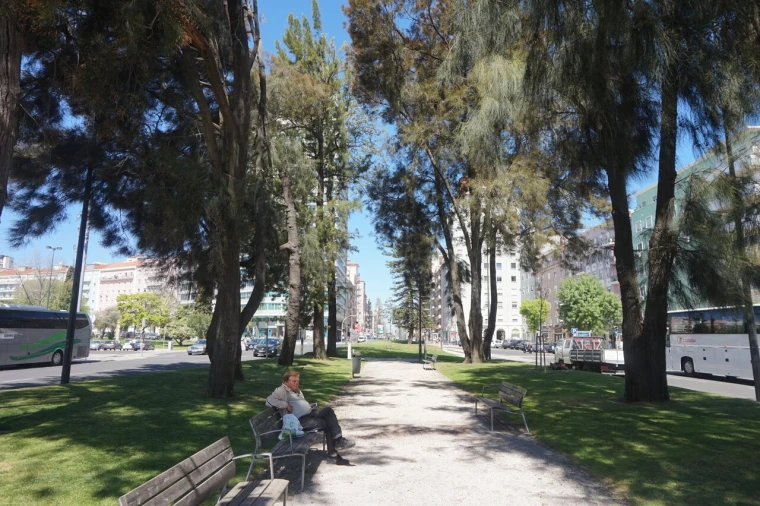 Loja para Arrendamento em Alvalade Foto 13