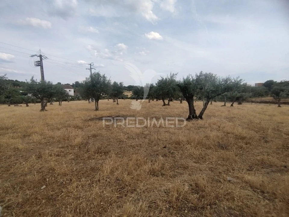 Moradia T2 para Venda em Alagoa Foto 9