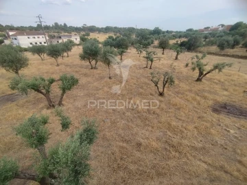 Moradia T2 para Venda em Alagoa