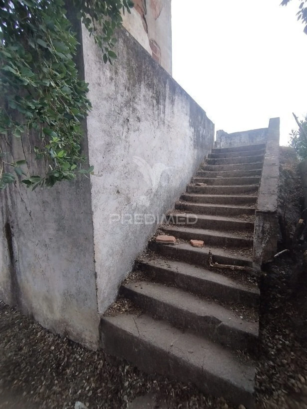 Moradia T2 para Venda em Alagoa Foto 3