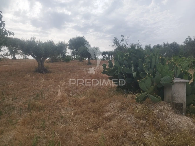 Terreno para Venda em Espírito Santo, Nossa Senhora da Graça e São Simão Foto 2
