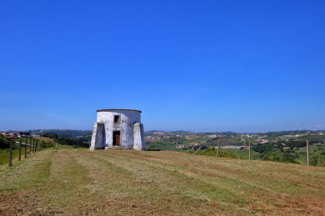 Prédio para Venda em Carvalhal Benfeito Foto 3