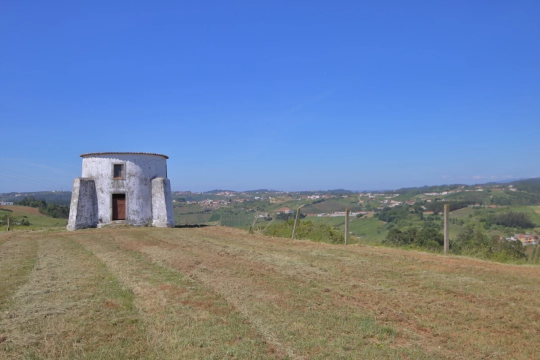 Prédio para Venda em Carvalhal Benfeito Foto 12
