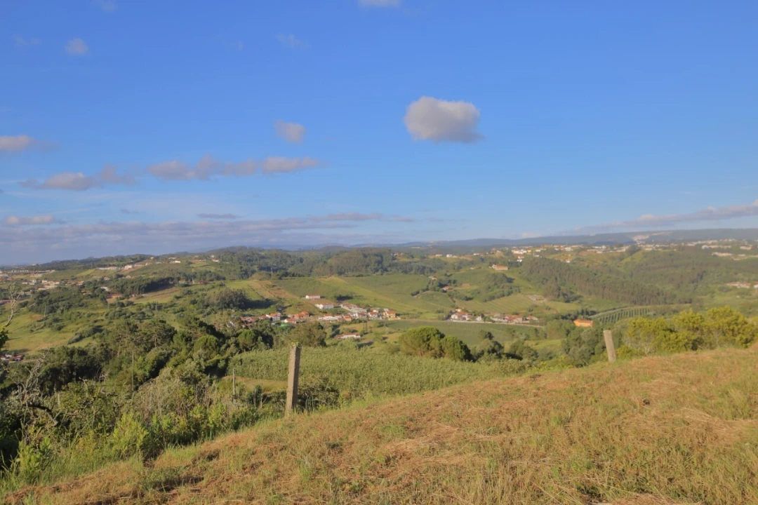 Prédio para Venda em Carvalhal Benfeito Foto 5
