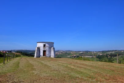 Prédio para Venda em Carvalhal Benfeito