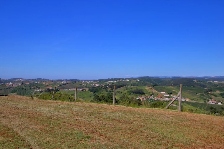 Prédio para Venda em Carvalhal Benfeito Foto 4