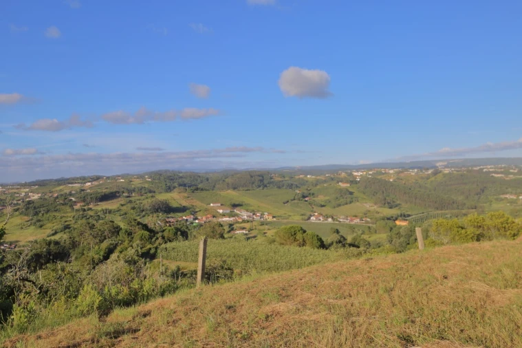 Prédio para Venda em Carvalhal Benfeito Foto 5