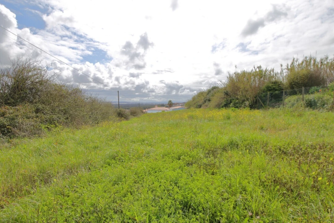 Terreno para Venda em Caldas da Rainha - Santo Onofre e Serra do Bouro Foto 2