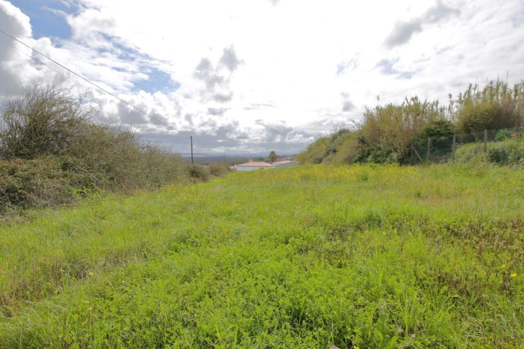 Terreno para Venda em Caldas da Rainha - Santo Onofre e Serra do Bouro Foto 3