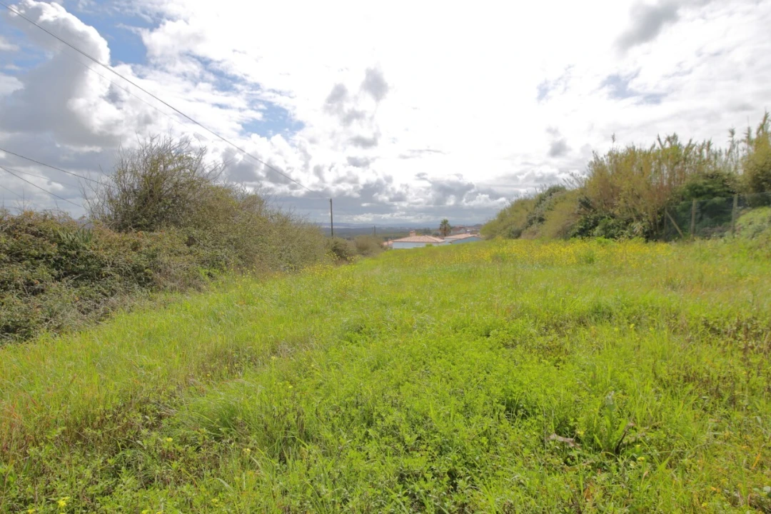 Terreno para Venda em Caldas da Rainha - Santo Onofre e Serra do Bouro Foto 4