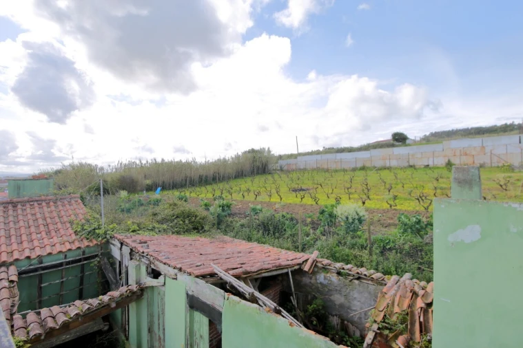 Terreno para Venda em Caldas da Rainha - Santo Onofre e Serra do Bouro Foto 6