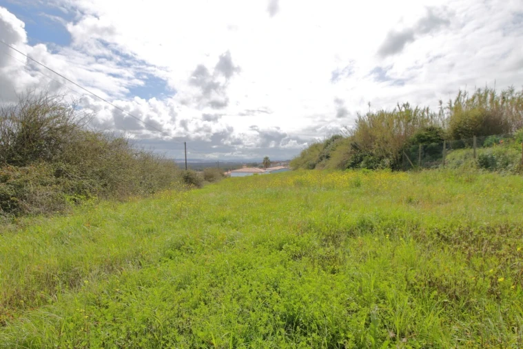 Terreno para Venda em Caldas da Rainha - Santo Onofre e Serra do Bouro Foto 2