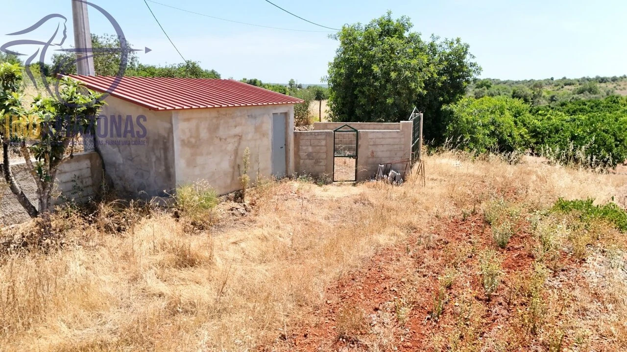 Terreno para Venda em Silves Foto 9