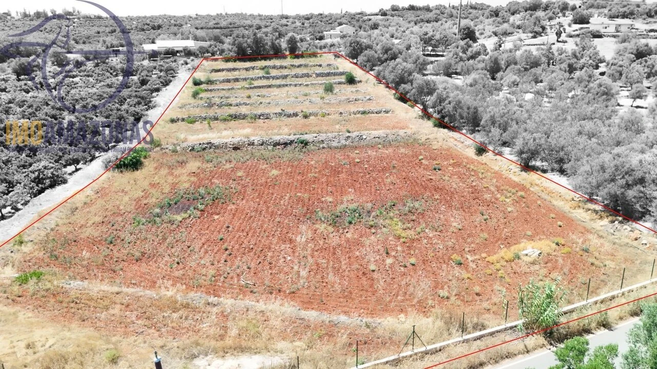 Terreno para Venda em Silves Foto 2