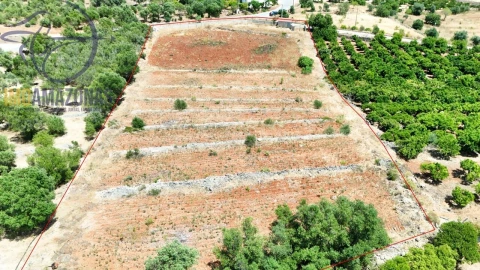 Terreno para Venda em Silves