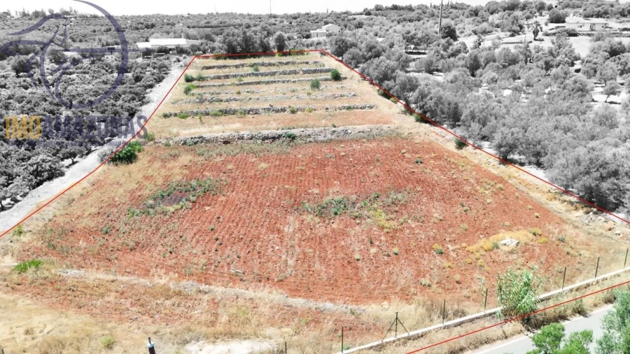 Terreno para Venda em Silves Foto 2