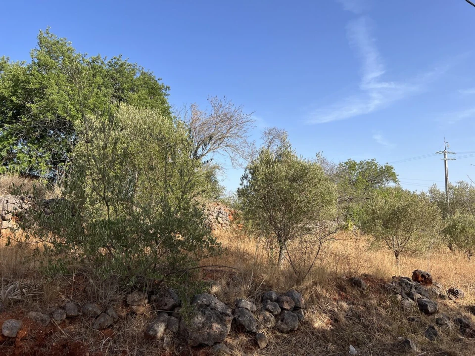 Moradia T2 para Venda em São Bartolomeu de Messines Foto 22