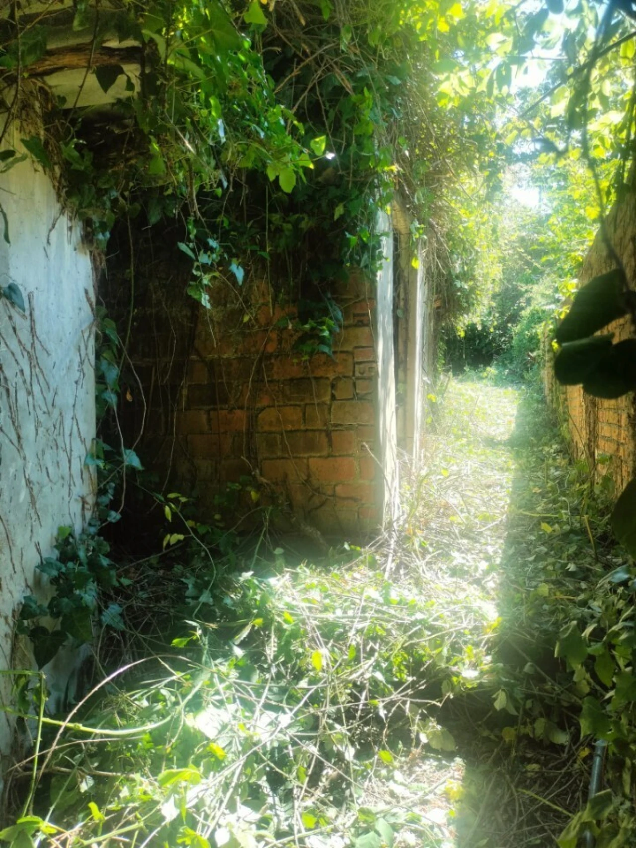 Prédio para Venda em São João da Madeira Foto 19