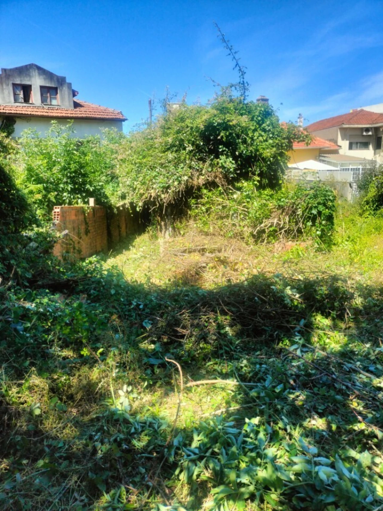 Prédio para Venda em São João da Madeira Foto 20
