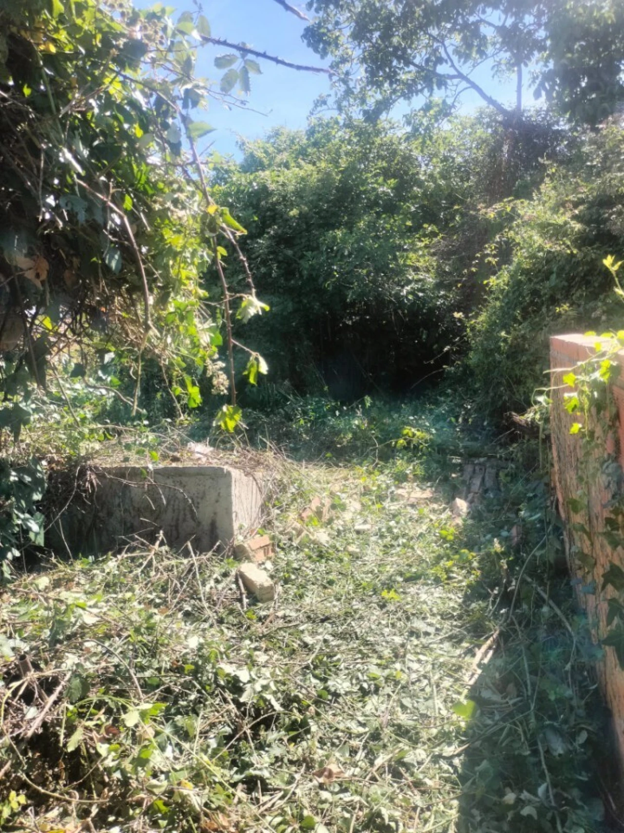 Prédio para Venda em São João da Madeira Foto 21