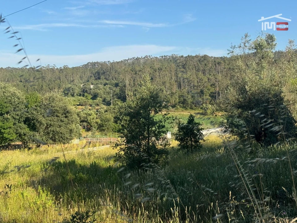 Terreno Misto para Venda em São Mamede Foto 8