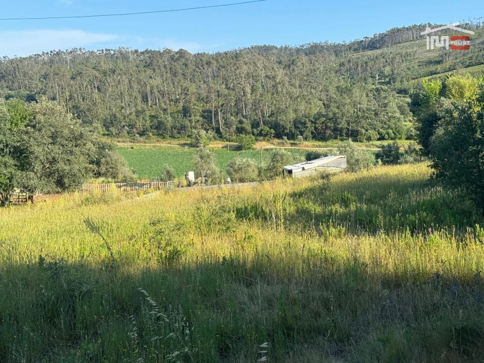 Terreno Misto para Venda em São Mamede Foto 9