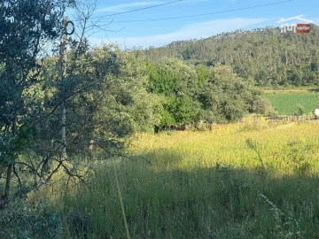 Terreno Misto para Venda em São Mamede