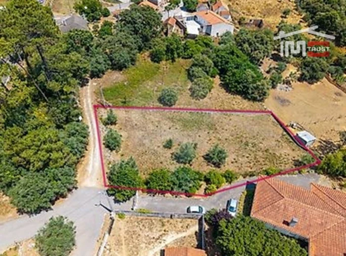 Terreno Misto para Venda em São Mamede Foto 2