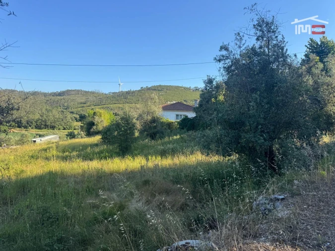 Terreno Misto para Venda em São Mamede Foto 5
