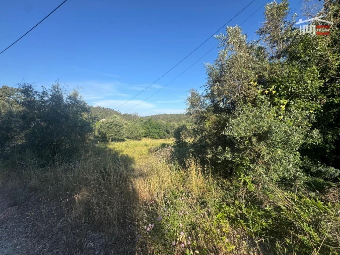 Terreno Misto para Venda em São Mamede Foto 6
