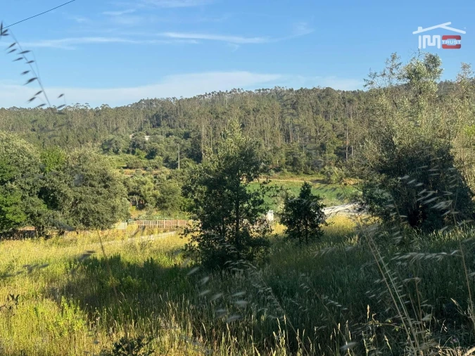Terreno Misto para Venda em São Mamede Foto 8