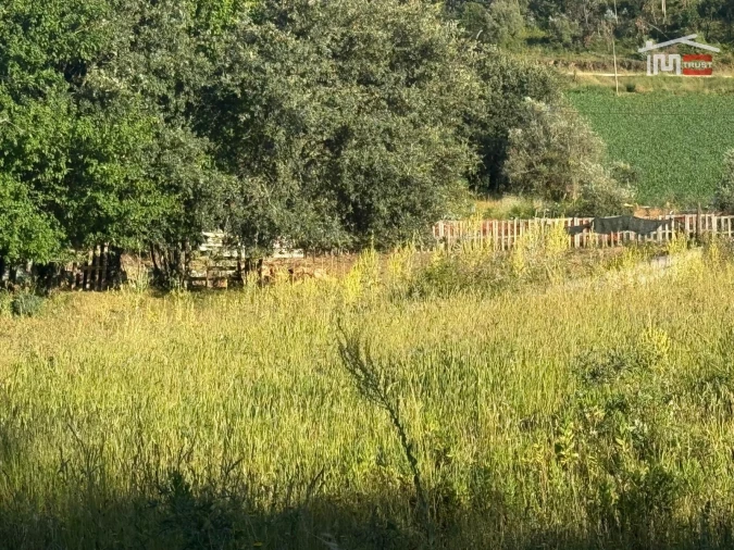 Terreno Misto para Venda em São Mamede Foto 12